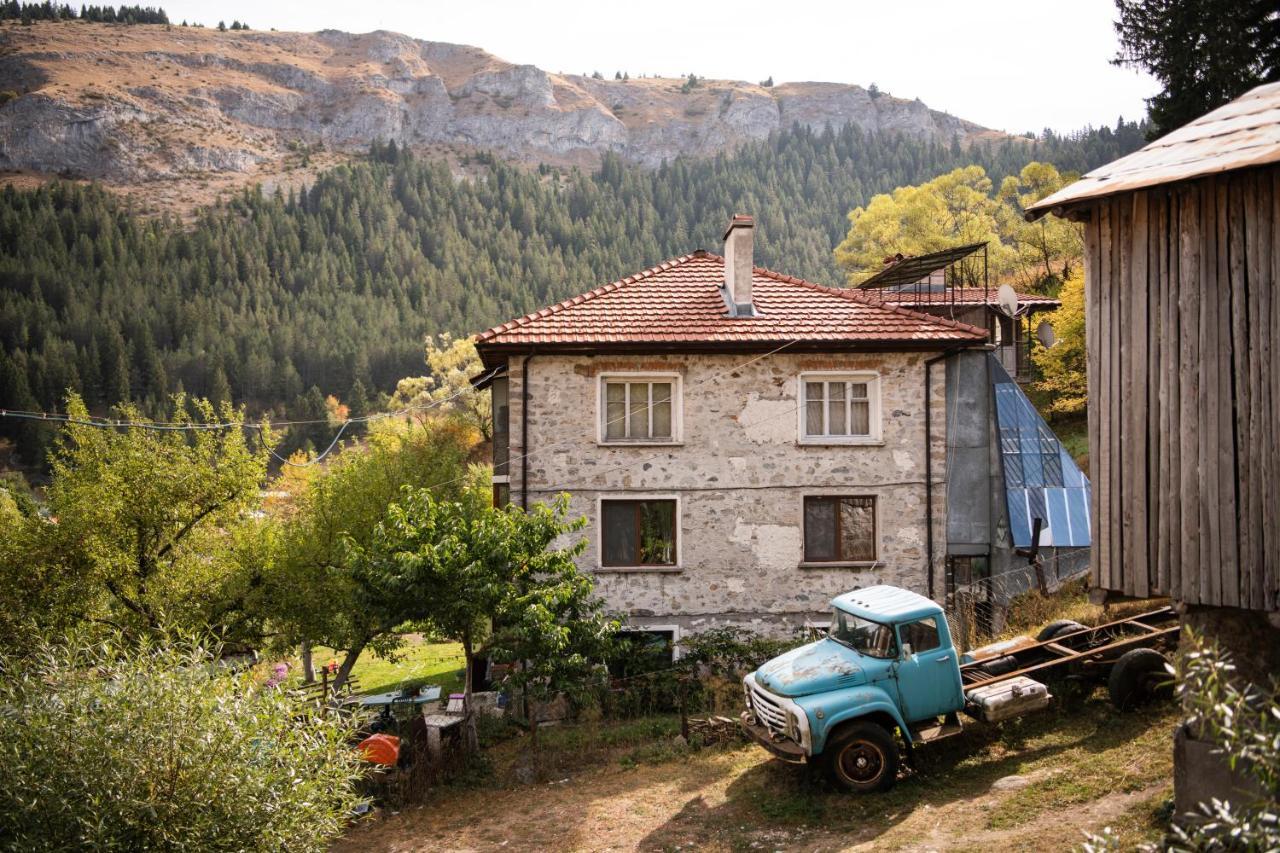 Къща До Гората Триград Vila Exterior foto